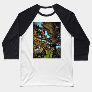 Oak leaves in autumn Baseball T-Shirt